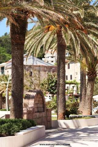 Апартаменты Studio Apartment Nika Anđusa Петровац Апартаменты-студио-38