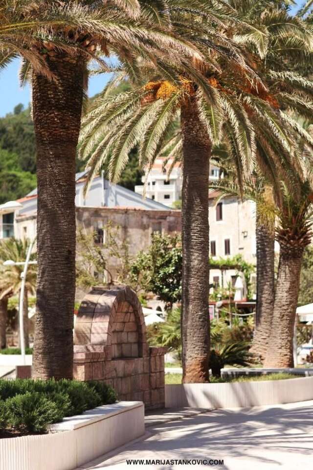 Апартаменты Studio Apartment Nika Anđusa Петровац-17